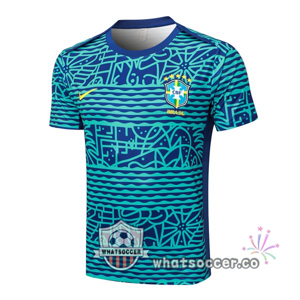 Brazil Training T-Shirts Blue 2024-2025