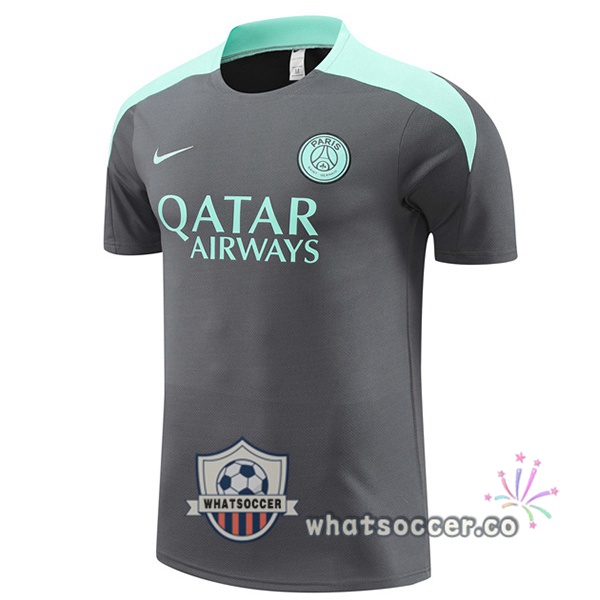Paris PSG Training T-Shirts Gray 2024-2025