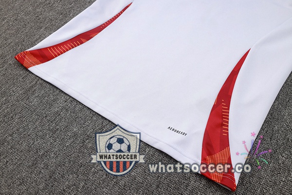 Tracksuit Olympique Lyonnais White Blue 2024-2025