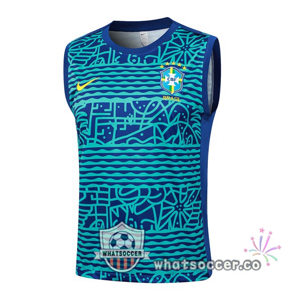 Brazil Soccer Vest Blue 2024-2025