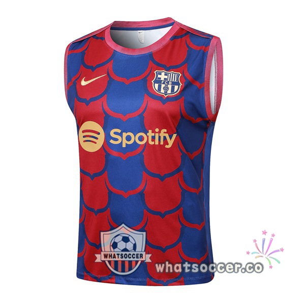 FC Barcelona Soccer Vest Red Blue 2024-2025