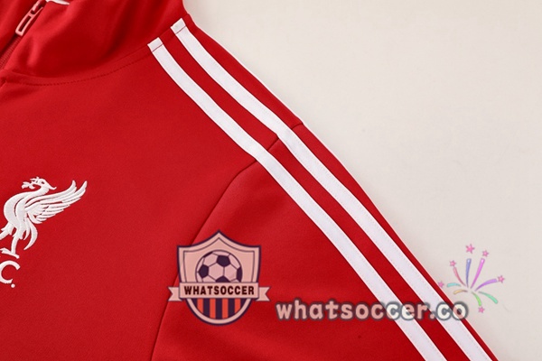 Training Jacket FC Liverpool Red 2025-2026