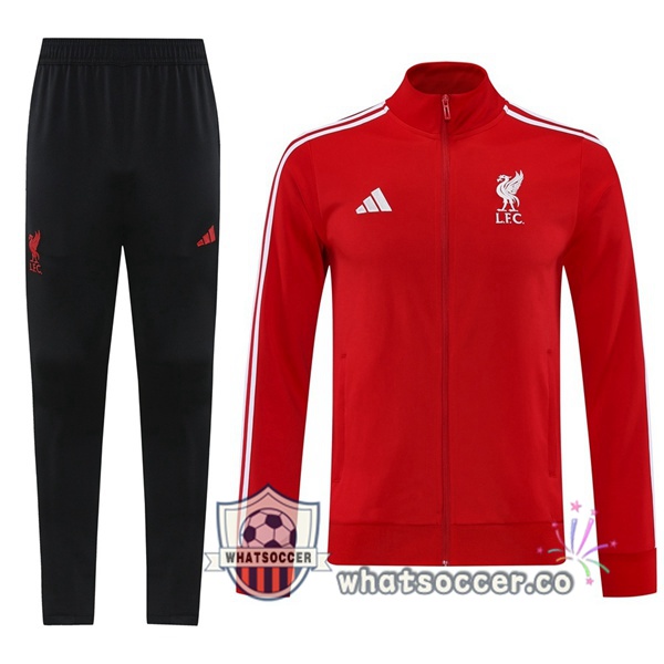 Training Jacket FC Liverpool Red 2025-2026