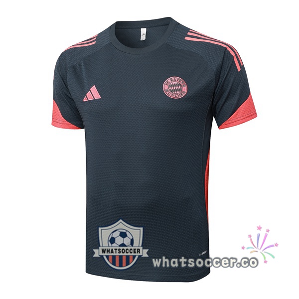 Bayern Munich Training T-Shirts Gray 2025-2026
