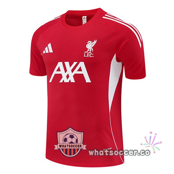 FC Liverpool Training T-Shirts Red 2025-2026