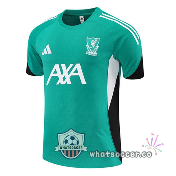 FC Liverpool Training T-Shirts Green 2025-2026