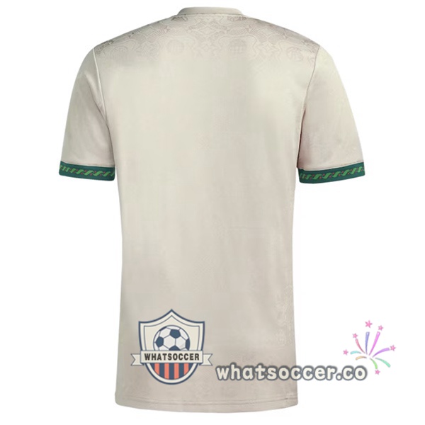 Bayern Munich Special Edition Soccer Jerseys Gray 2025-2026