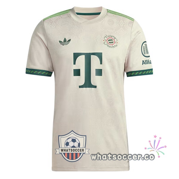 Bayern Munich Special Edition Soccer Jerseys Gray 2025-2026