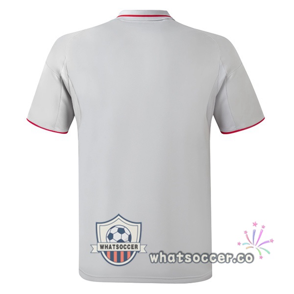 Olympique Lyonnais Third Soccer Jerseys Gray 2025-2026