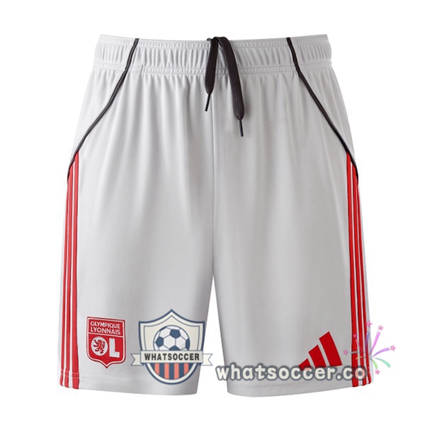 Olympique Lyonnais Third Soccer Jerseys Gray 2025-2026