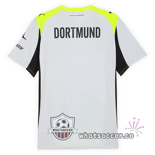 Dortmund BVB Away Soccer Jerseys Gray Green 2025-2026