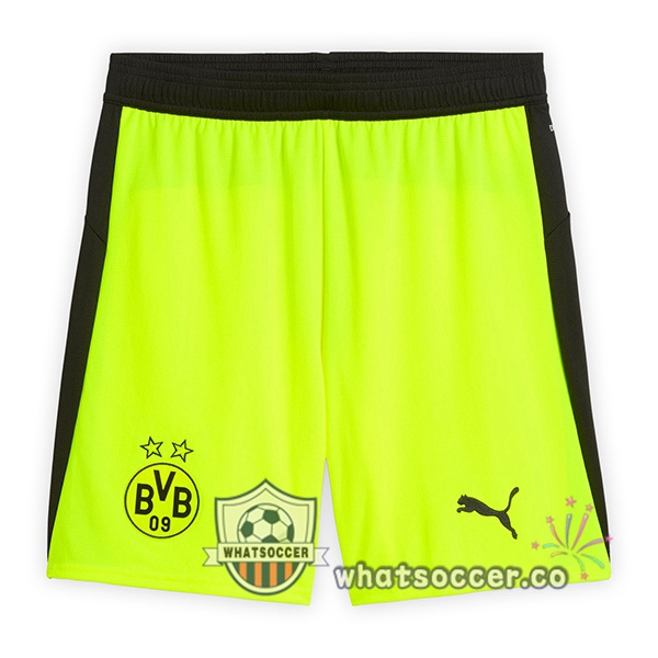 Dortmund BVB Away Soccer Jerseys Gray Green 2025-2026