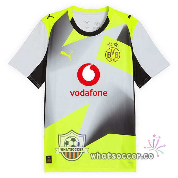 Dortmund BVB Away Soccer Jerseys Gray Green 2025-2026