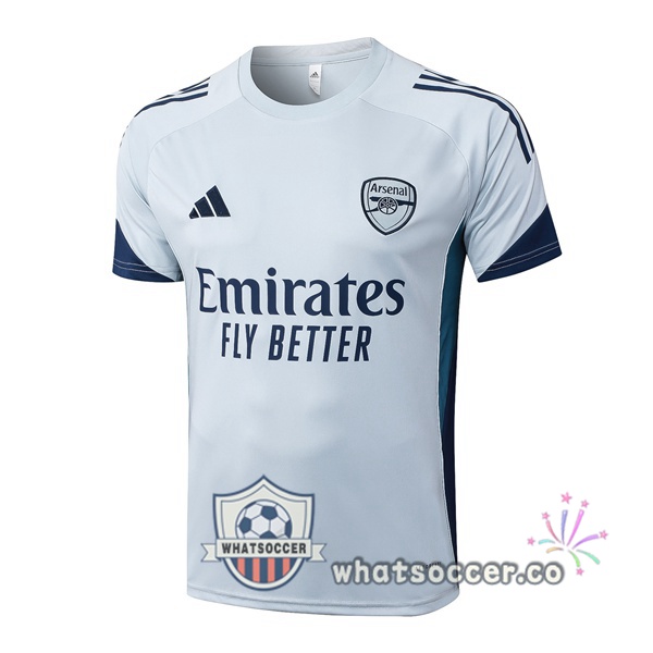 Arsenal Training T-Shirts Gray 2025-2026