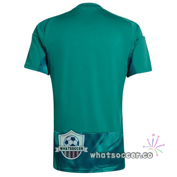 Germany Goalkeeper Soccer Jerseys Green 2026-2027