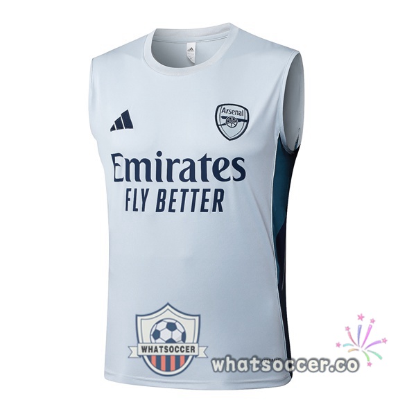 Arsenal Soccer Vest Gray 2025-2026