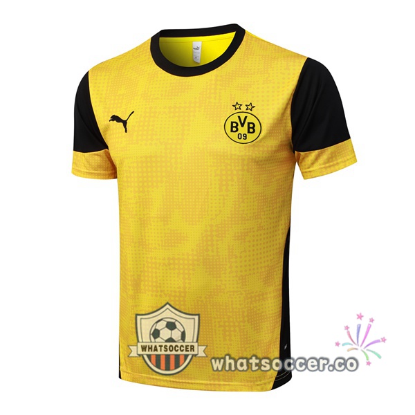 Dortmund BVB Training T-Shirts Yellow 2025-2026 Dortmund BVB Training T-Shirts Yellow 2025-2026