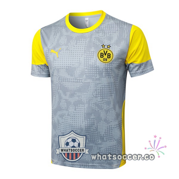 Dortmund BVB Training T-Shirts Gray 2025-2026 Dortmund BVB Training T-Shirts Gray 2025-2026