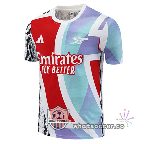 Arsenal Training T-Shirts Red White 2025-2026