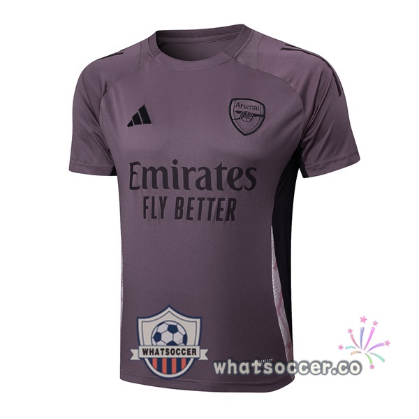 Arsenal Training T-Shirts Purple 2025-2026