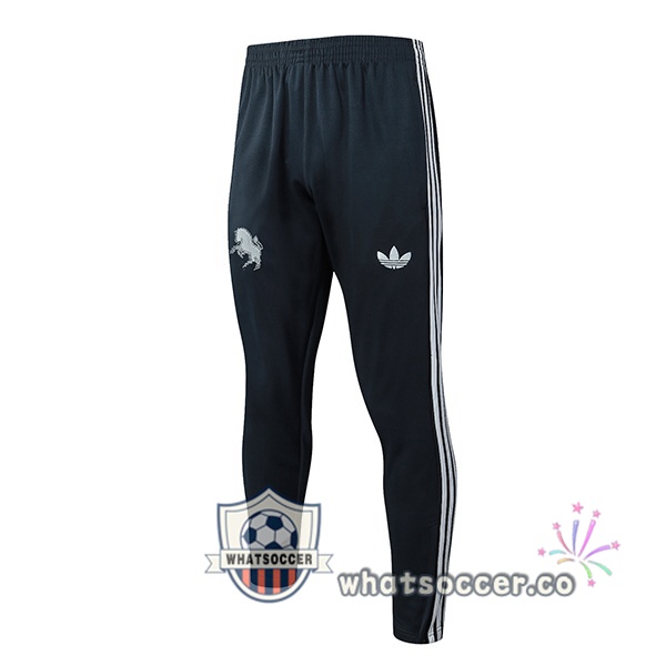 Juventus Soccer Pants Gray 2025-2026