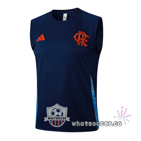 Flamengo Soccer Vest Blue Royal 2025-2026
