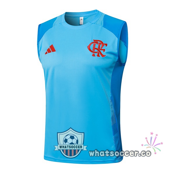 Flamengo Soccer Vest Blue 2025-2026