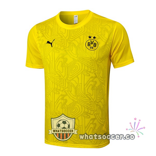 Dortmund BVB Training T-Shirts Yellow 2025-2026