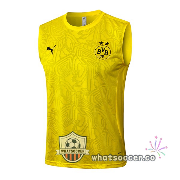 Dortmund BVB Soccer Vest Yellow 2025-2026