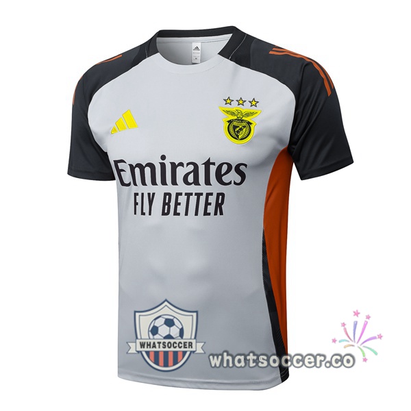 S.L Benfica Training T-Shirts Gray 2025-2026
