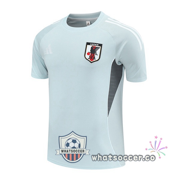 Japan Training T-Shirts Gray 2025-2026