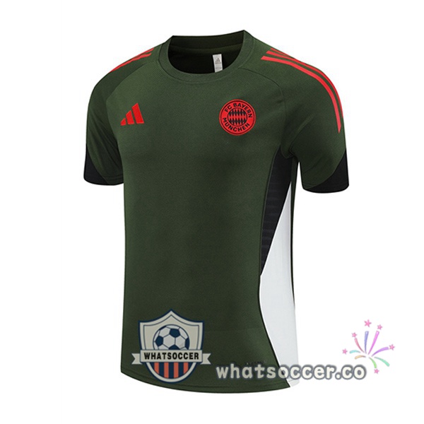 Bayern Munich Training T-Shirts Green 2025-2026