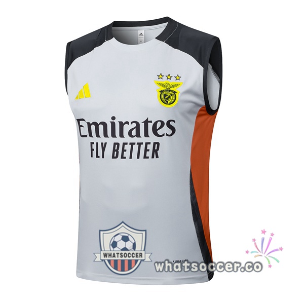 S.L Benfica Soccer Vest Gray 2025-2026