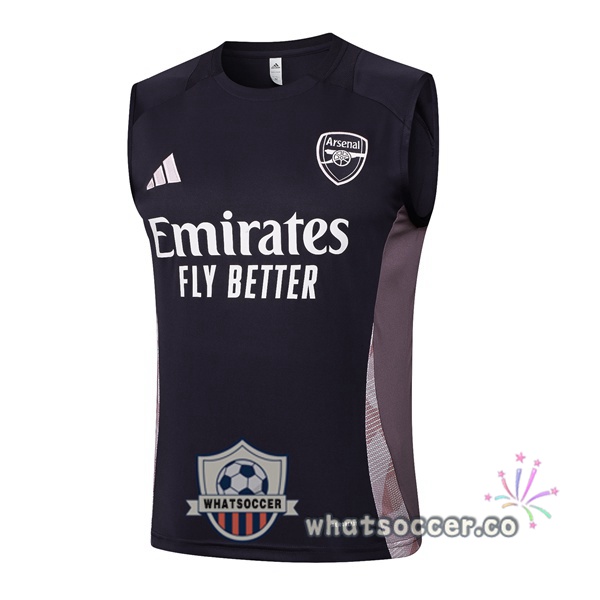 Arsenal Soccer Vest Gray 2025-2026