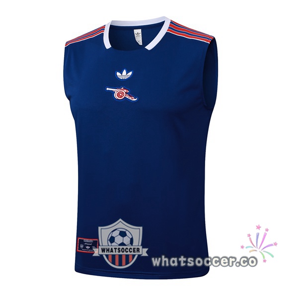 Arsenal Soccer Vest Blue 2025-2026
