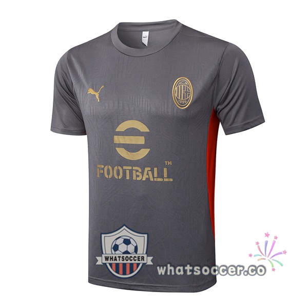 AC Milan Training T-Shirts Gray 2025-2026