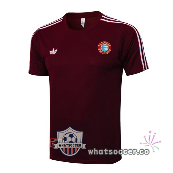 Bayern Munich Training T-Shirts Red 2025-2026