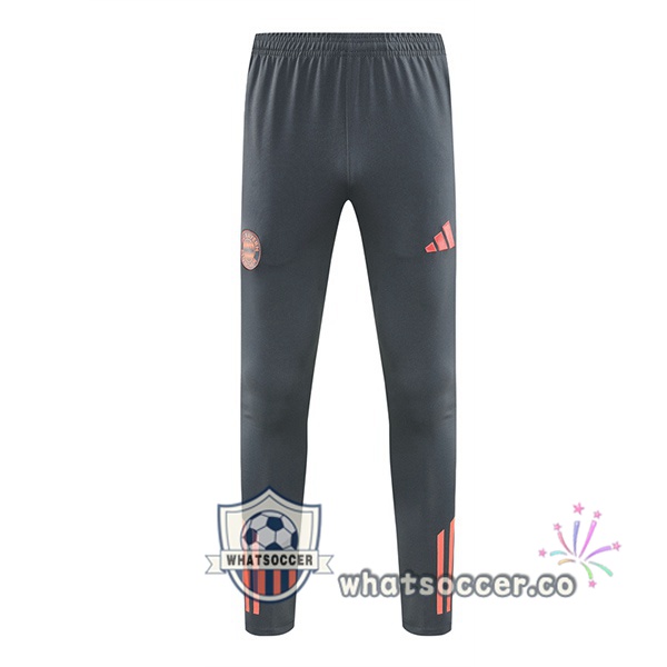 Bayern Munich Soccer Pants Gray 2025-2026