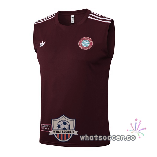 Bayern Munich Soccer Vest Marron 2025-2026