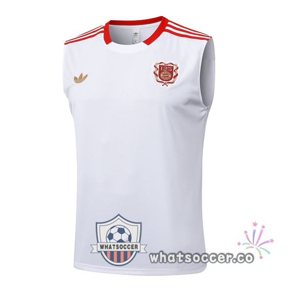 Bayern Munich Soccer Vest White 2025-2026