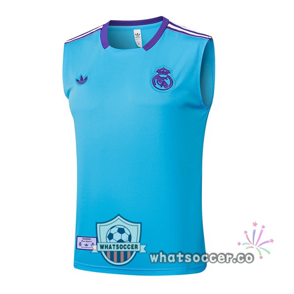 Real Madrid Soccer Vest Blue 2025-2026