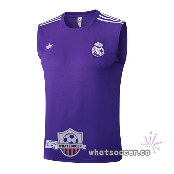 Real Madrid Soccer Vest Purple 2025-2026
