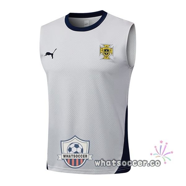 Portugal Soccer Vest Gray 2025-2026