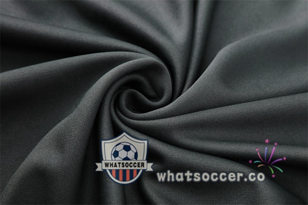 Training Wear Bayern Munich Gray 2025-2026