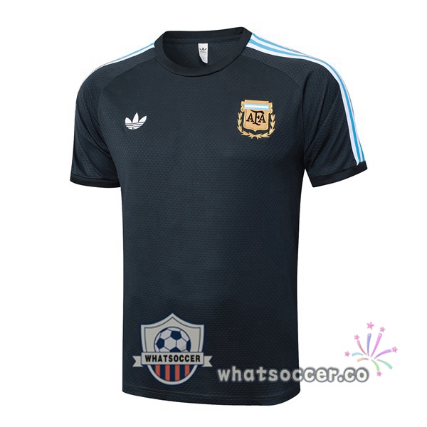 Argentina Training T-Shirts Gray 2025-2026