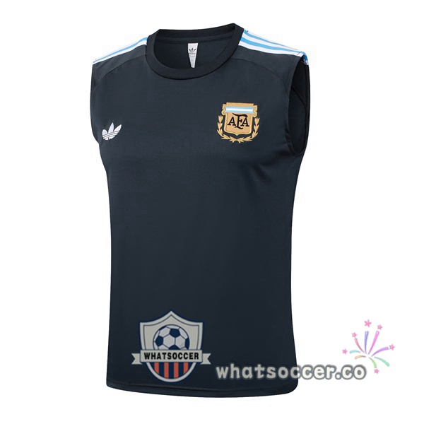 Argentina Soccer Vest Blue Royal 2025-2026