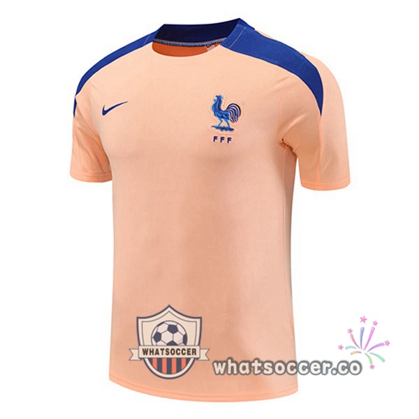 France Training T-Shirts Rose 2025-2026