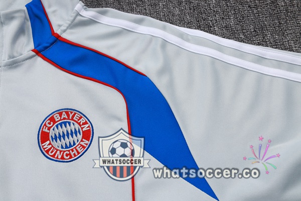 Training Wear Bayern Munich Gray 2025-2026