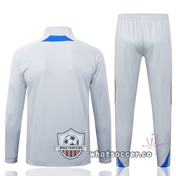 Training Jacket Bayern Munich Gray 2025-2026