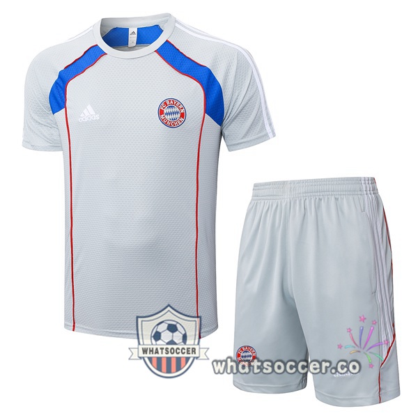 Bayern Munich Training T-Shirts + Shorts Gray 2025-2026